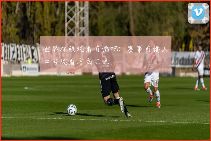 世界杯线观看直播吧：赛事直播入口与观看方式汇总