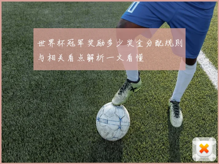 世界杯冠军奖励多少奖金分配规则与相关看点解析一文看懂