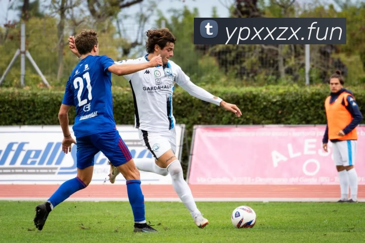 Kaiyun - 开云 [中国大陆] 官方网站发展历程